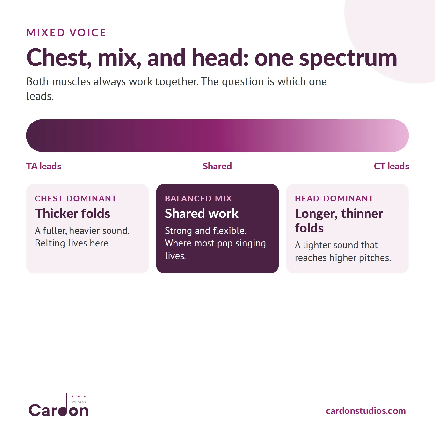Mixed voice spectrum: chest-dominant with thicker folds, balanced mix with shared work, head-dominant with longer, thinner folds